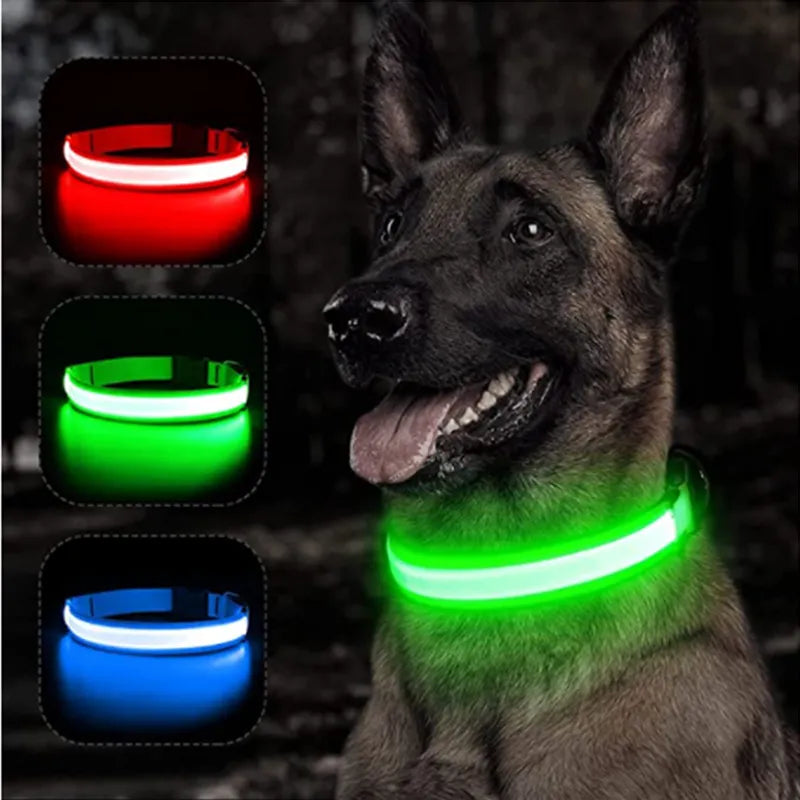 Coleira de Cachorro Brilhante com Led