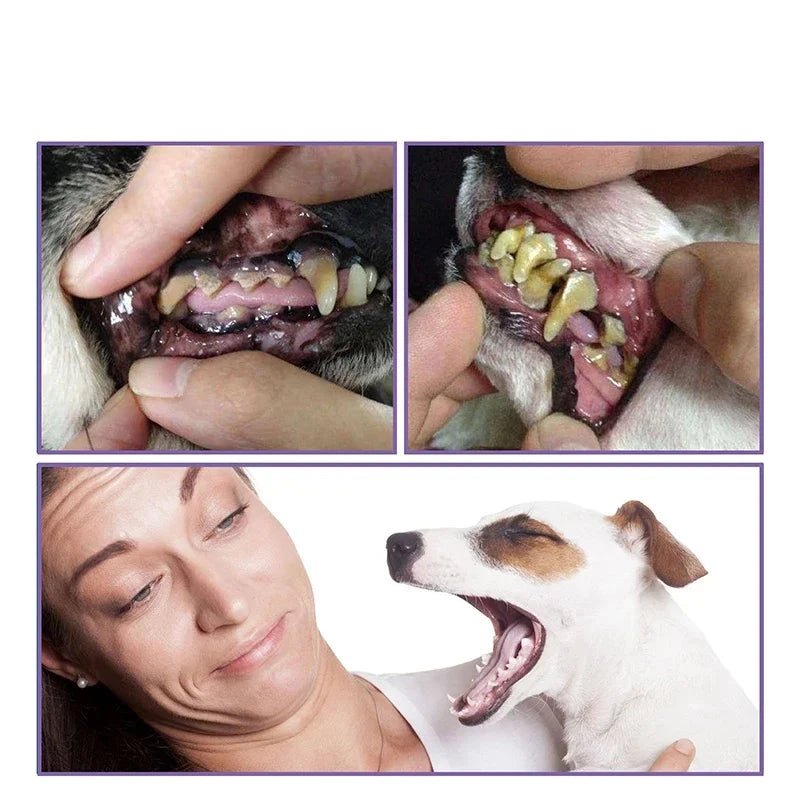 Gel de limpeza oral para cães