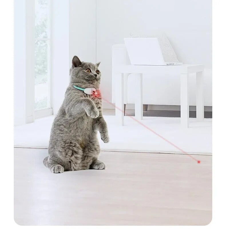 Coleira a laser para gato inteligente automático