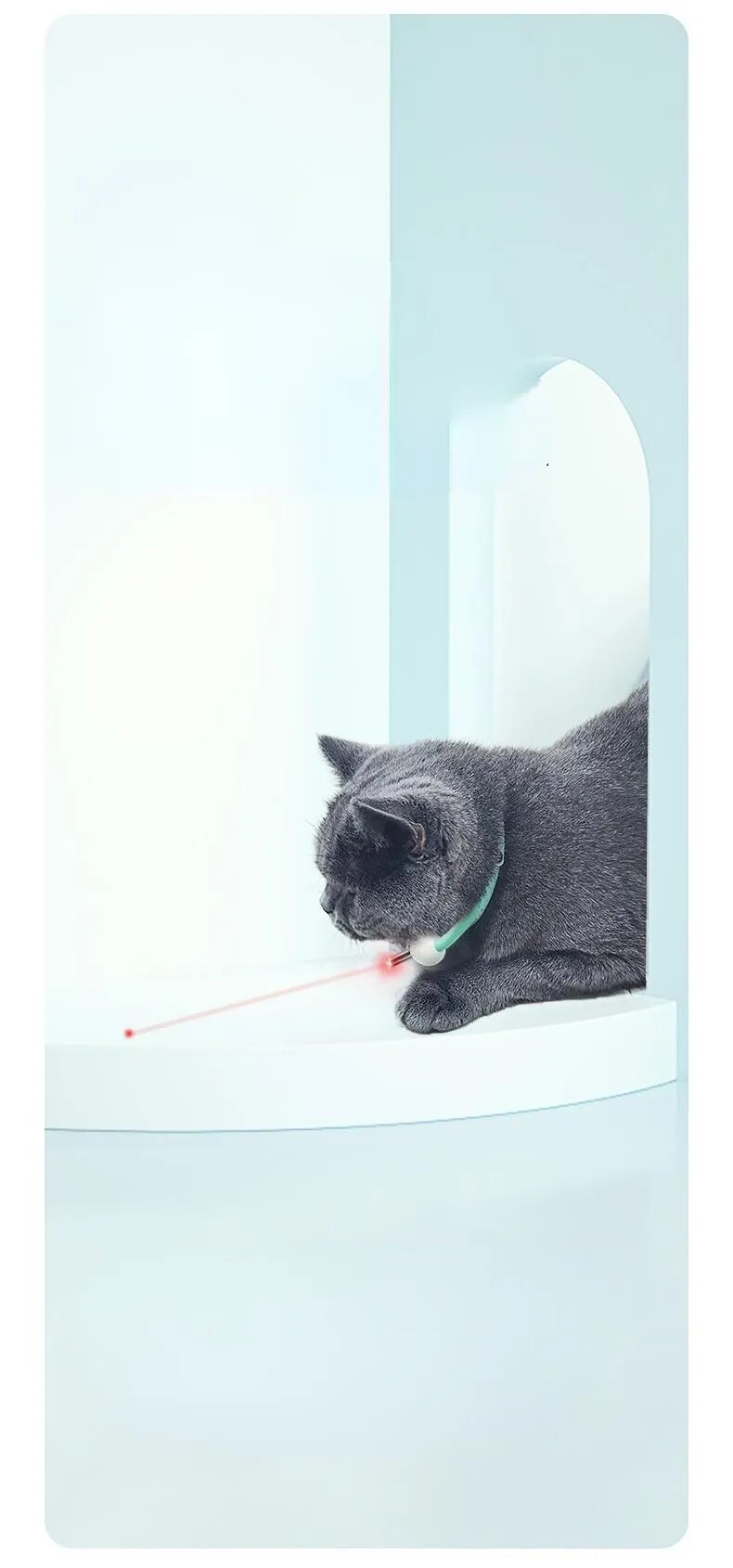 Coleira a laser para gato inteligente automático