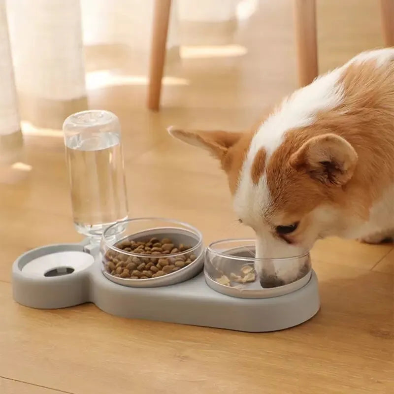 Dispensador automático de comida e água multifuncional para animais estimação